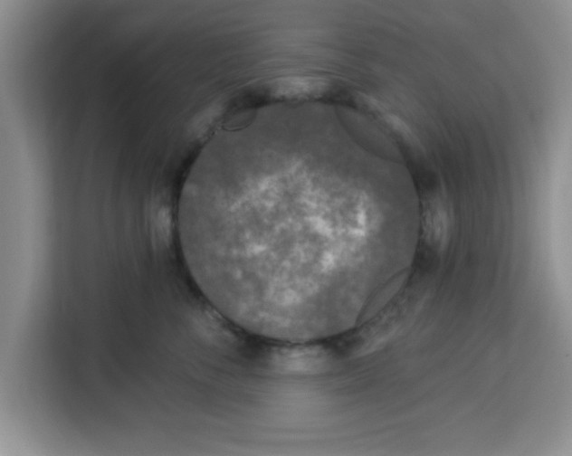 X0000113920716200910221353