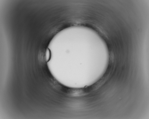 X0000113920719200910221353