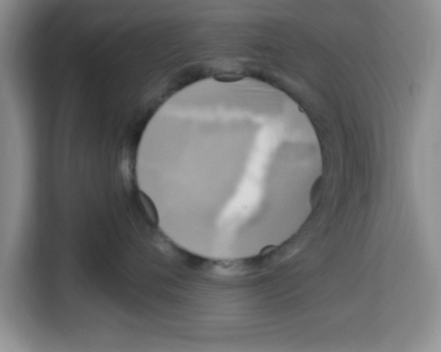 X0000113920720200910221353