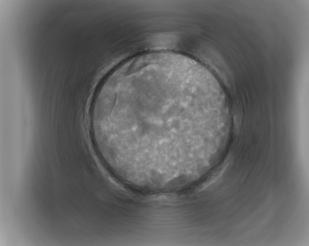 X0000113920721200910221353