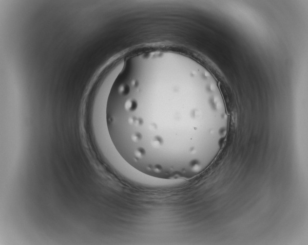 X0000113920724200910221353