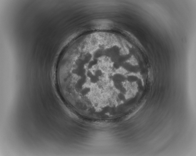 X0000113920725200910221353