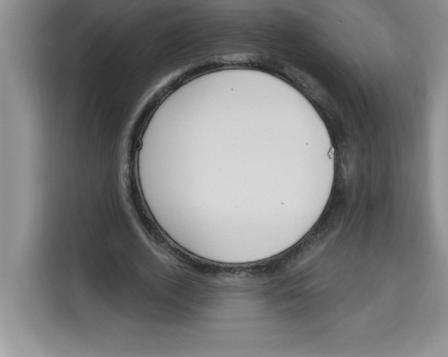 X0000113920728200910221353