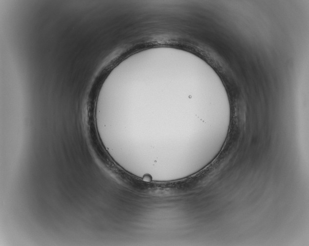 X0000113920730200910221353