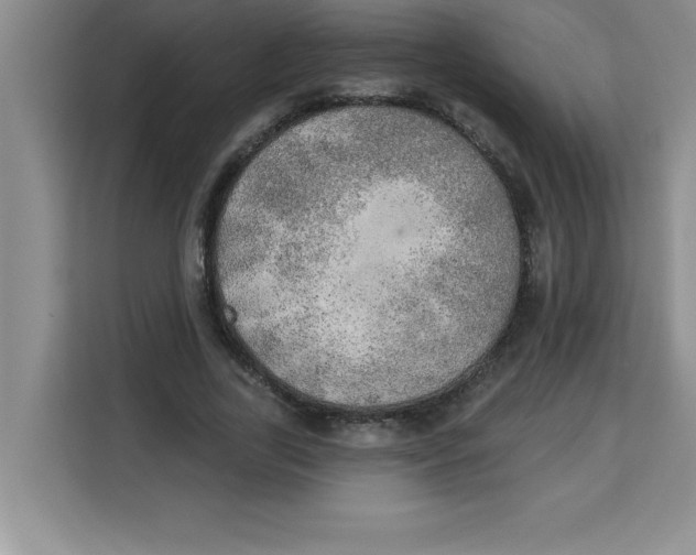 X0000113920731200910221353