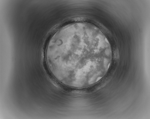 X0000113920733200910221353