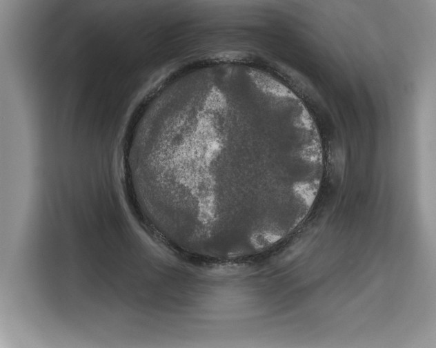 X0000113920734200910221353
