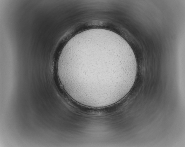 X0000113920735200910221353