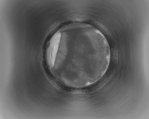 X0000113920738200910221353