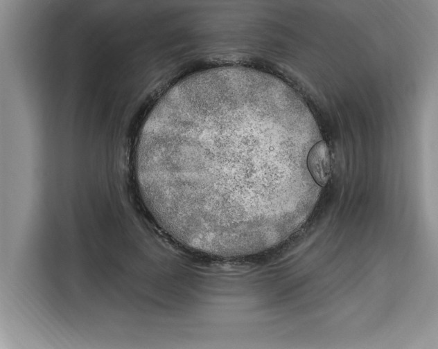 X0000113920739200910221353