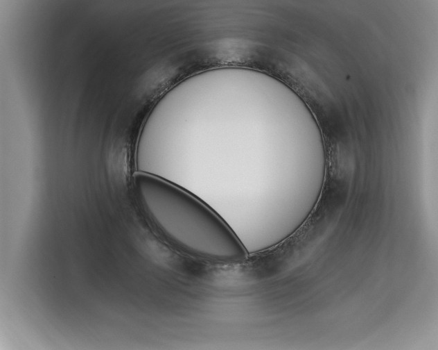 X0000113920740200910221353