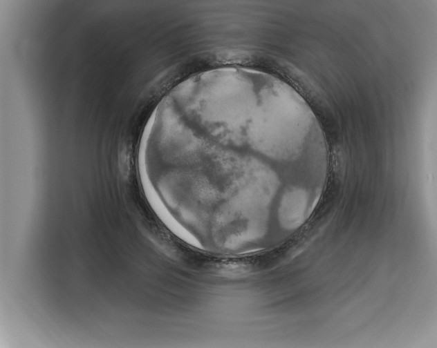 X0000113920741200910221353