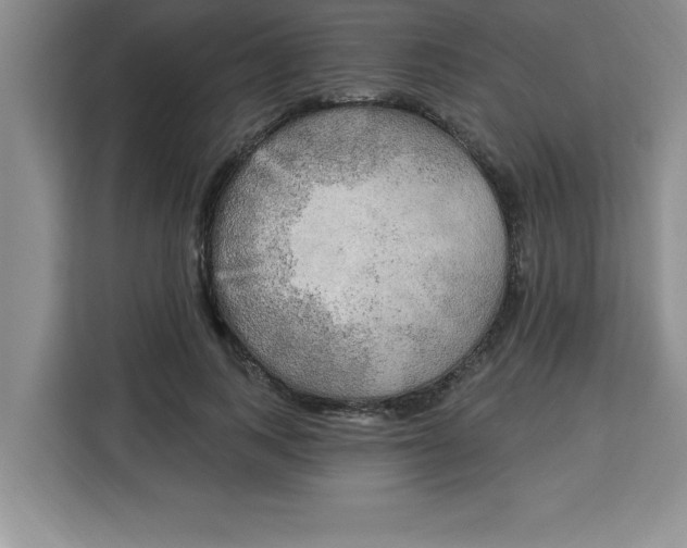 X0000113920743200910221353
