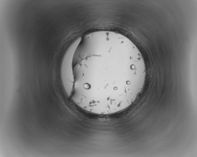 X0000113920744200910221353