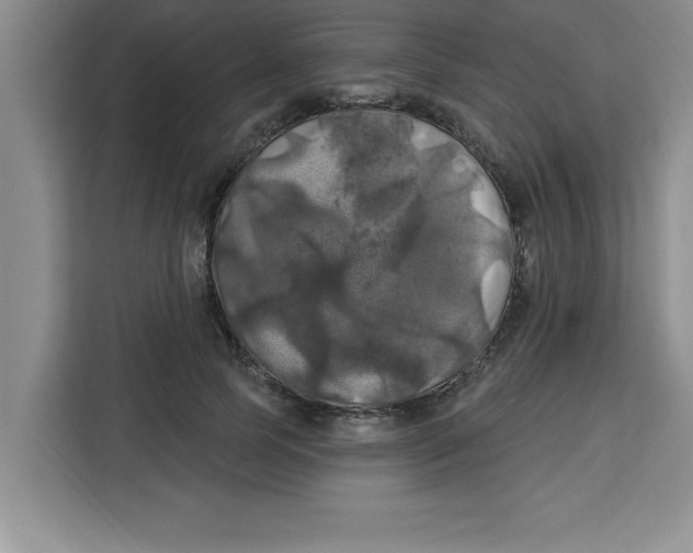 X0000113920745200910221353