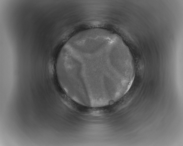 X0000113920746200910221353