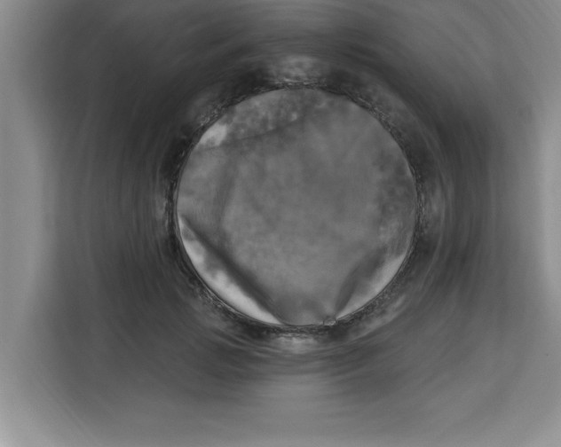X0000113920749200910221353
