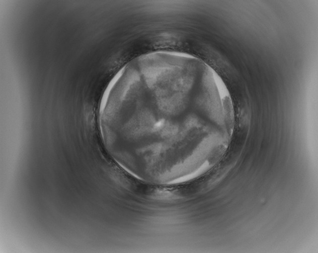 X0000113920753200910221353