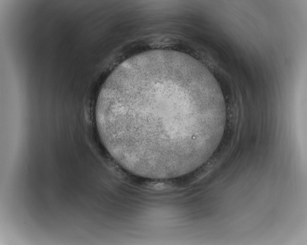 X0000113920755200910221353