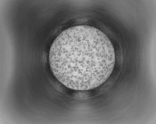 X0000113920758200910221353