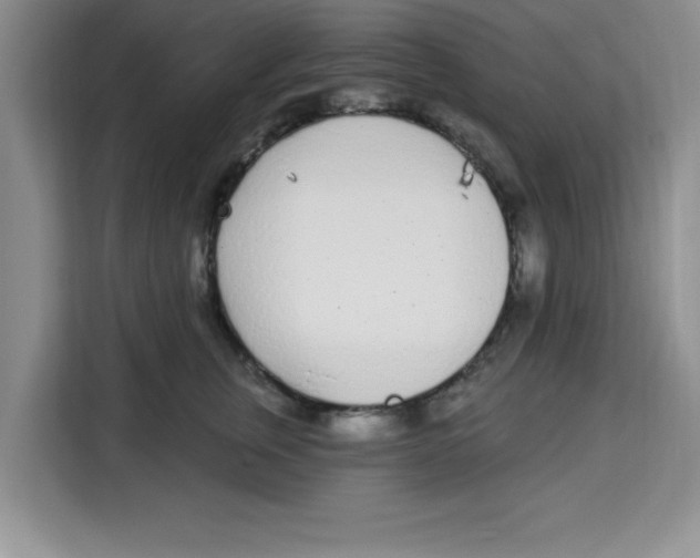 X0000113920759200910221353