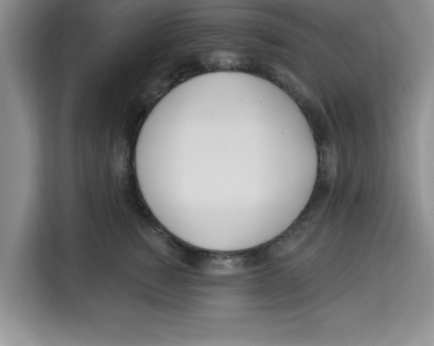 X0000113920760200910221353