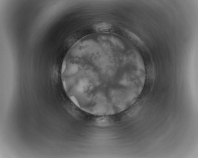 X0000113920761200910221353