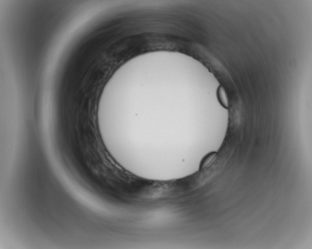X0000113920764200910221353