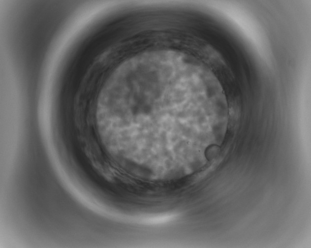 X0000113920765200910221353