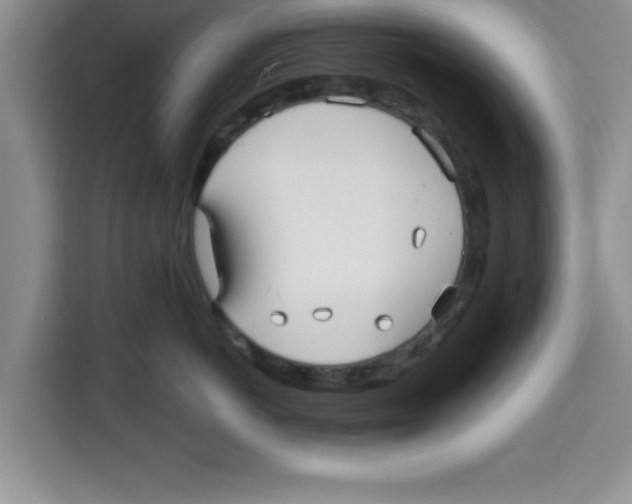 X0000113920766200910221353