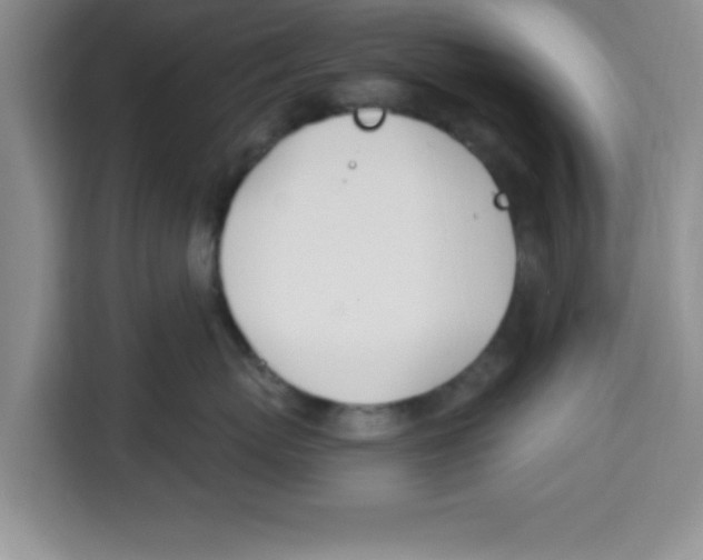 X0000113920767200910221353