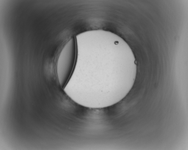 X0000113920768200910221353