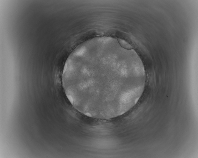 X0000113920770200910221353