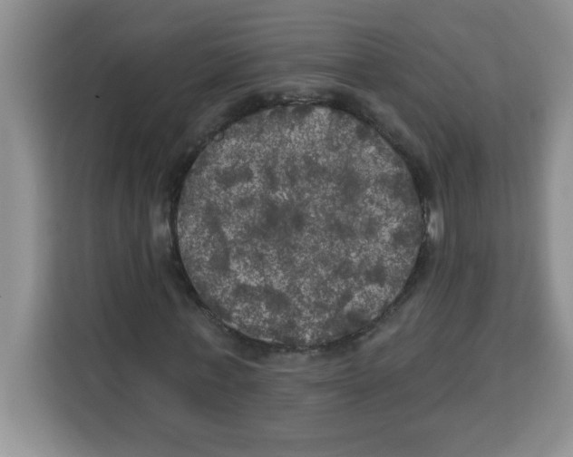 X0000113920771200910221353