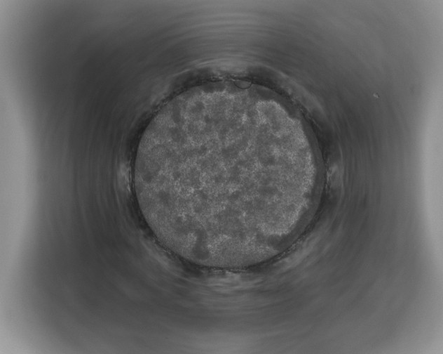 X0000113920772200910221353