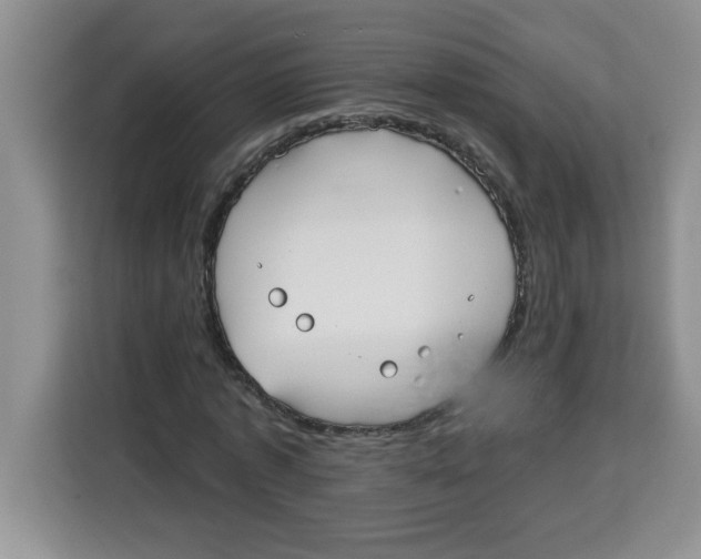 X0000113920773200910221353