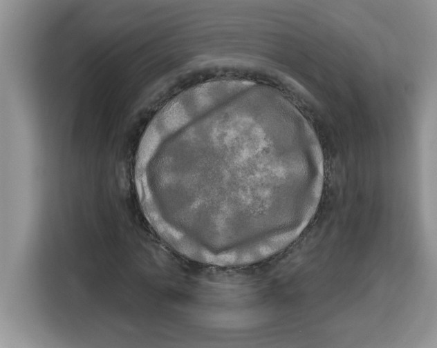 X0000113920774200910221353