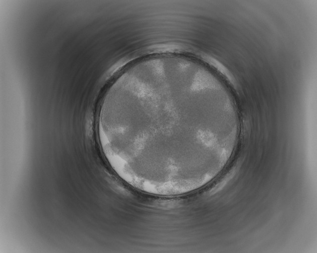 X0000113920778200910221353