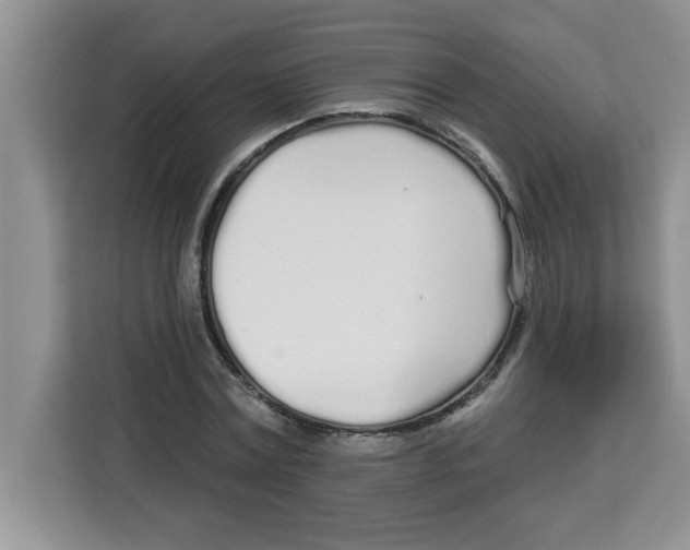 X0000113920779200910221353