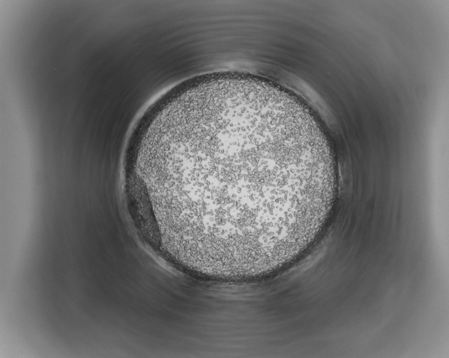 X0000113920780200910221353