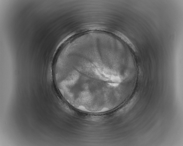 X0000113920782200910221352