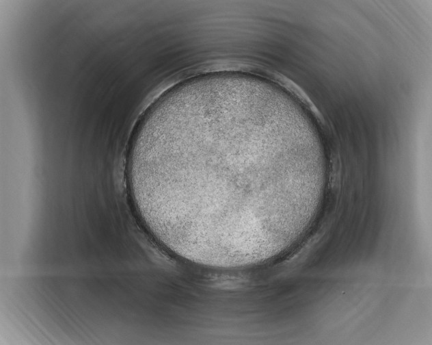 X0000113920786200910221352