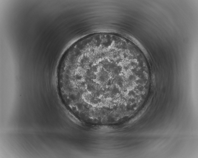 X0000113920787200910221352