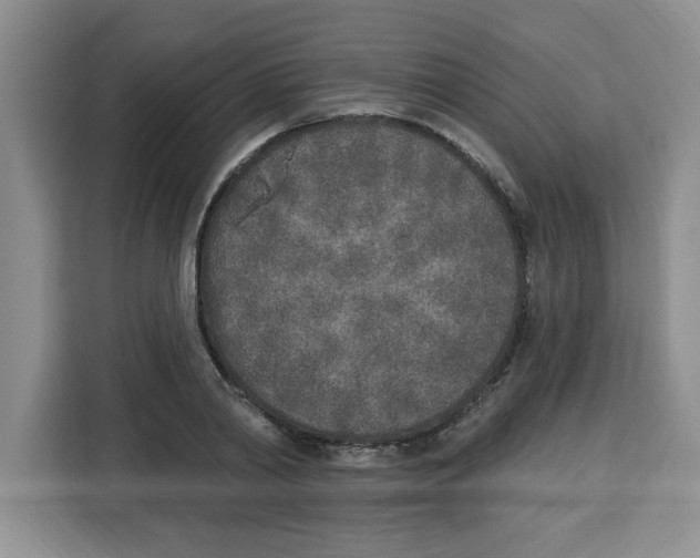 X0000113920790200910221352