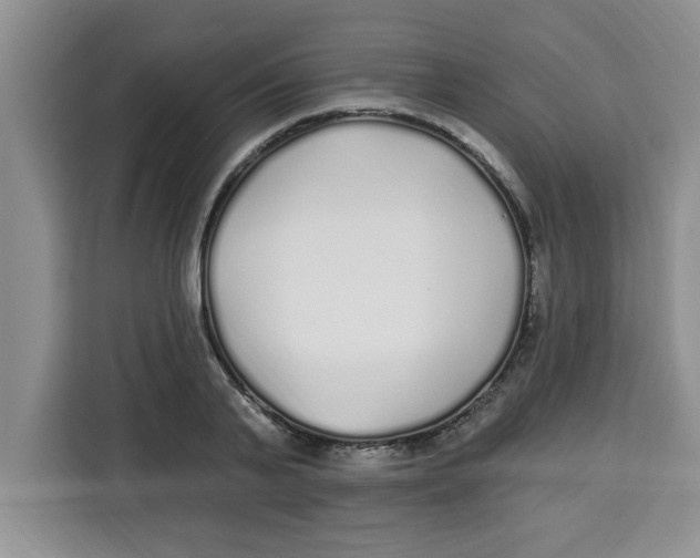 X0000113920791200910221352