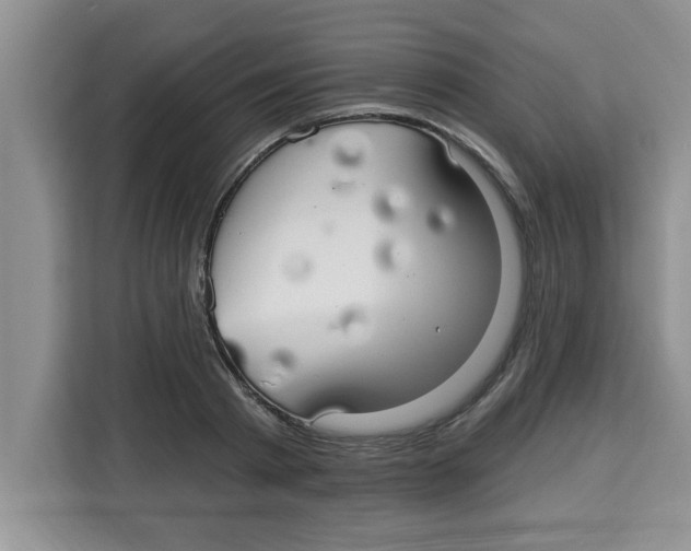 X0000113920793200910221352