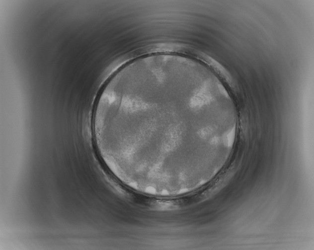 X0000113920794200910221352
