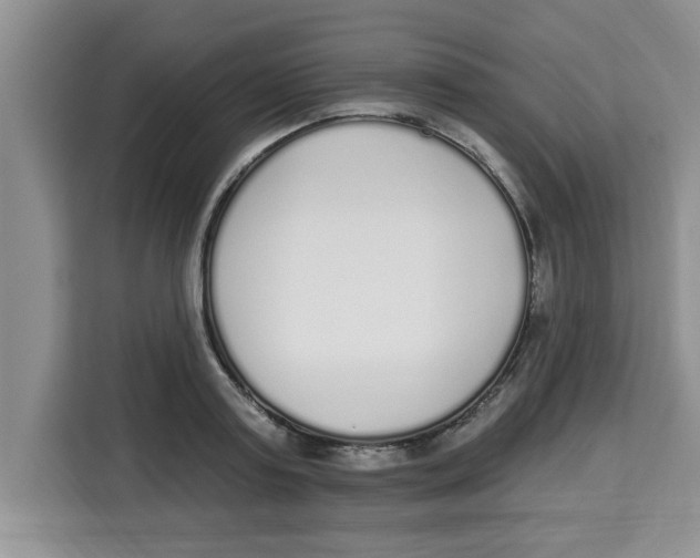 X0000113920795200910221352