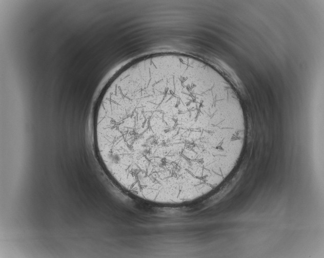 X0000113920796200910221352