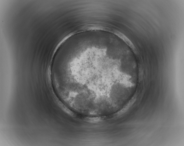 X0000113920798200910221352